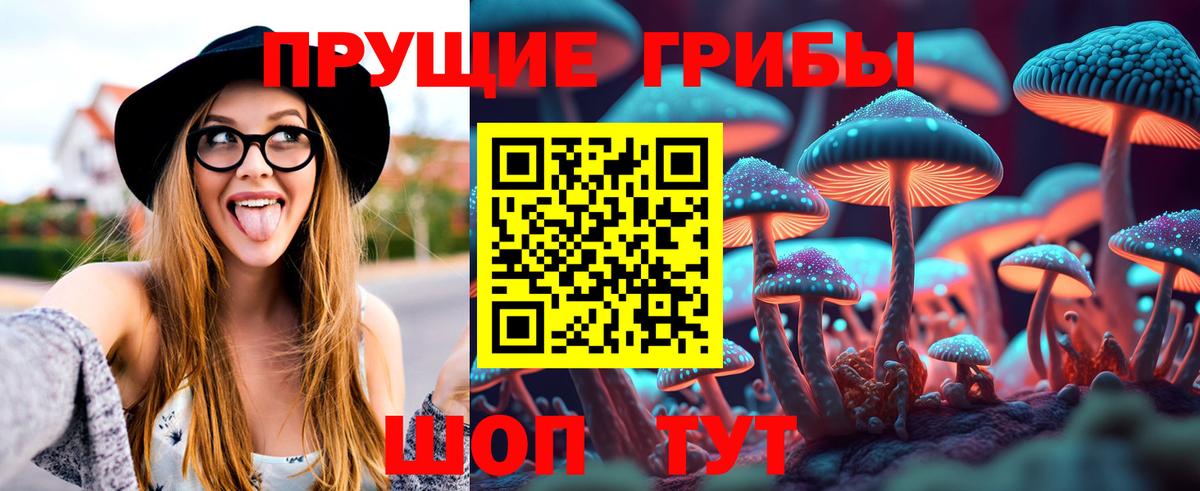 Тверь  купить наркоту  Галлюциногенные грибы мицелий  Вход с VPN  Галлюциногенные грибы MAGIC MUSHROOMS 